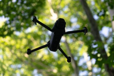 Test de l'IA qui efface les objets indésirables sur vos photos | Guide complet