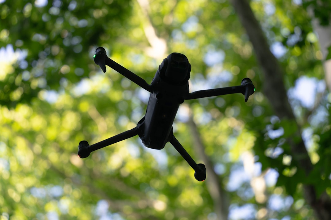 Test de l'IA qui efface les objets indésirables sur vos photos | Guide complet