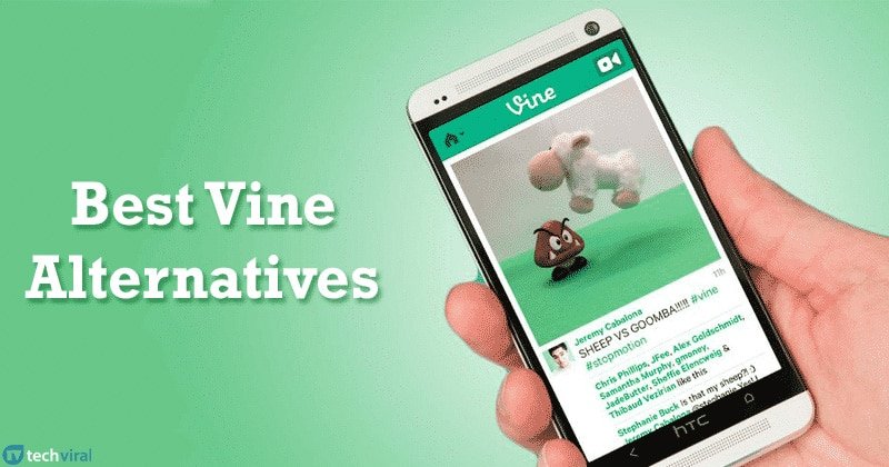 Les meilleures alternatives pour partager vos vidéos courtes : retrouvez l&rsquo;esprit Vine !