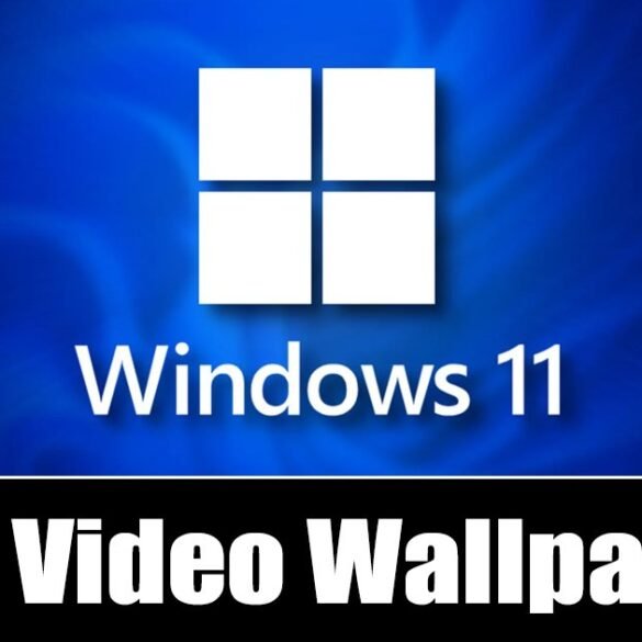 Donnez vie à votre bureau Windows 11 : comment utiliser une vidéo comme fond d'écran animé